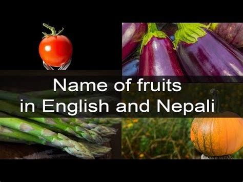English To Nepali Name Of Vegetables In English And Nepali