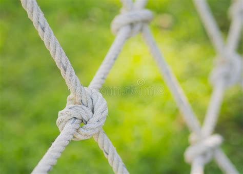 Rope Tied In A Knot Stock Image Image Of Tied Strong 76791941