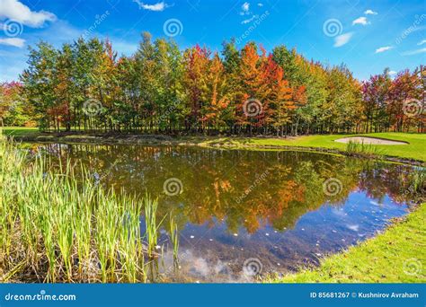 Autumn Foliage Reflected In The Pond Stock Image Image Of Tourism