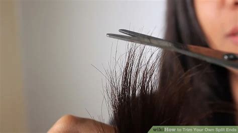 4 Ways To Trim Your Own Split Ends Wikihow Split Ends How To Cut