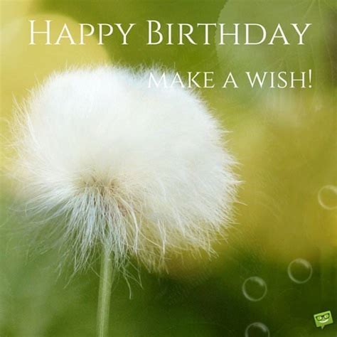 We have more than 400 free birthday cards. 25 Original Happy Birthday Pictures to Make Someone's ...