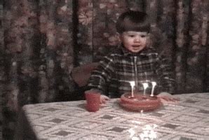 # funny or die # happy bday # happy birthday. Birthday GIFs - Find & Share on GIPHY