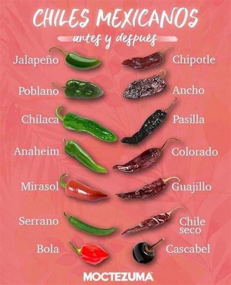 Pictures Of Hot Peppers Chart