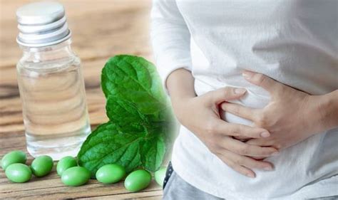 Stomach Bloating Diet Prevent Trapped Wind Pain And Tummy Ache With Peppermint Supplement