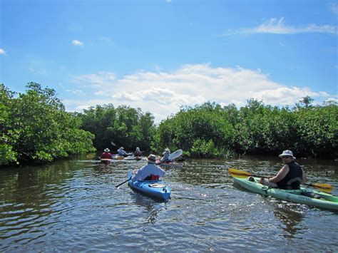 We did not find results for: Kayaking at St. Lucie Inlet Preserve State Park in Stuart ...