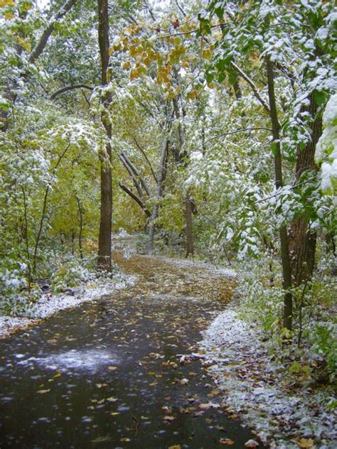 The First Snow Of Winter First Snow Get Outside Winter Time Pathways