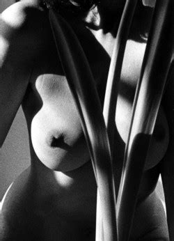 Almavio Marie Claire Montanari The Nude Porn Photo Pics