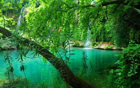 Kurşunlu Waterfall Pine Forest Turquoise Green Water In The Province