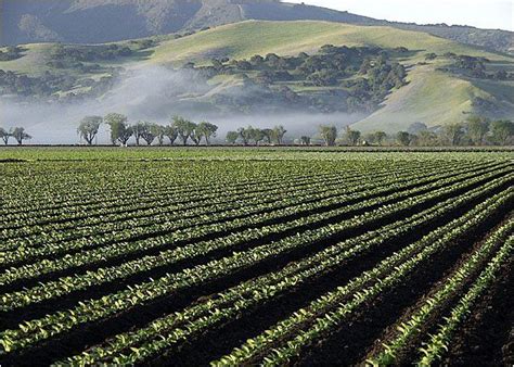 Although the salinas valley in northern california provides the setting for several of steinbeck's works, its role is arguably greatest in east of eden. Pin on East of Eden