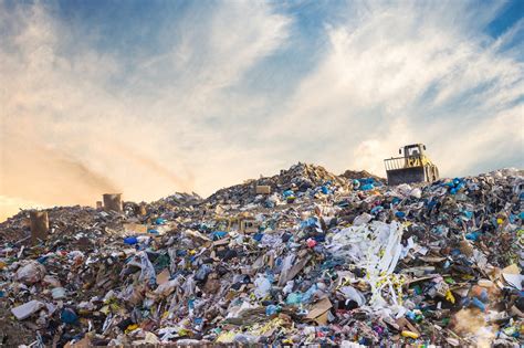Down In The Dumps Scientist Excavates Secrets Of Scottish Landfill