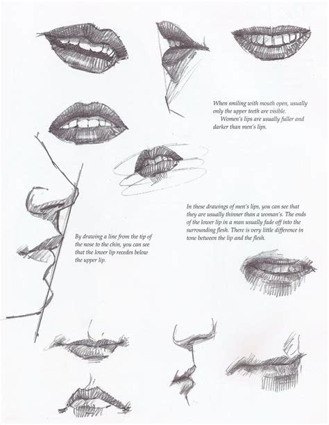 297 Best Character Anatomy Mouth Images On Pinterest Drawing