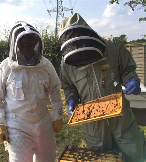 Bee Inspectors Cheshire Beekeepers Association