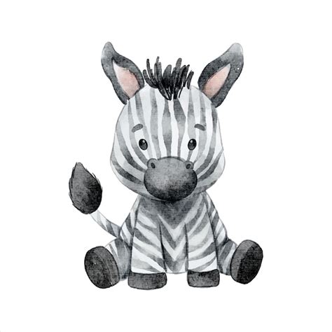 Premium Vector Cute Baby Zebra Watercolor Clipart Illustration