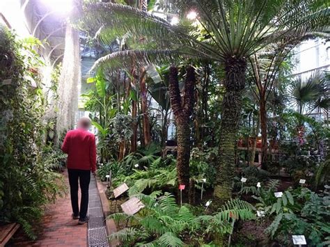 Nowość w portfolio marki stanowią dwa smaki naturalnie infuzowanego alkoholu. Kaisaniemi Botanic Garden (Helsinki, Finlandia) - opinie