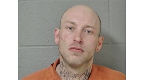 Niles Man Gets Jail Time For Fleeing From Police Leader Publications