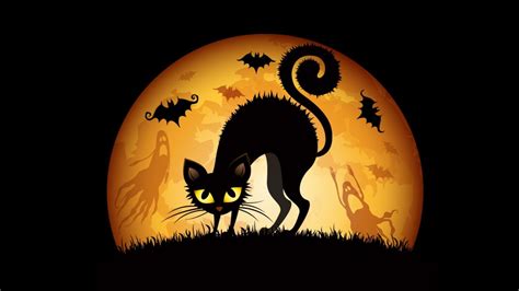 Black Scary Cat In The Night Of Halloween