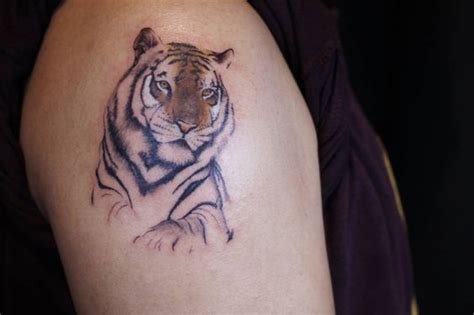 12 Best Tiger Tattoos For Girls Tatuaje De Tigre Tatuaje De Tigre