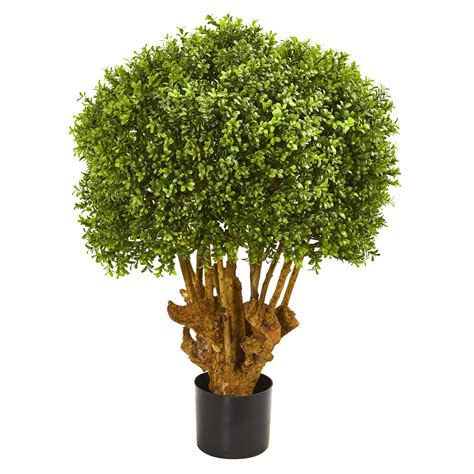 Earthflora Boxwood 3 Boxwood Outdoor Artificial Topiary Tree