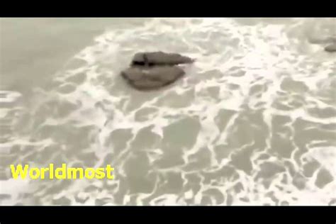 Real Mermaid Caught Sleeping On A Rock It Is World Record Youtube