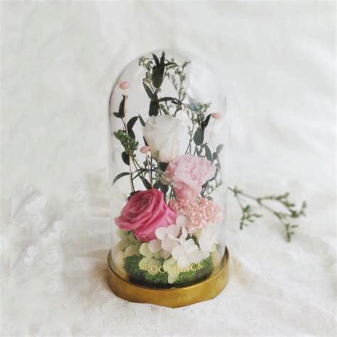 Featured on the flowers of blessings are jasmine flowers which are symbols of purity and sincerity. Gift Of Peace | Preserved Flowers Glass Dome | BloomBack ...