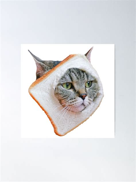 Cat In Toast Za