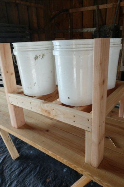 If these do as well as i think, i may add stakes inside the cages so. DIY 5 Gallon Bucket Planter Boxes - An Incredible New Way ...