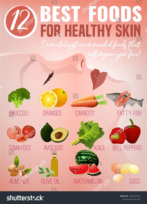 Twelve Best Foods Healthy Skin Editable Stock Vector Royalty Free