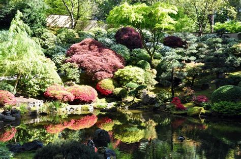 Portland Japanese Garden Usa Gardens Pond Shrubs Trees Hd