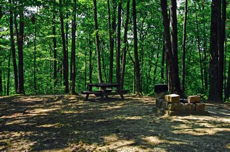 To west virginia state parks, your dog or cat (perhaps both) are part of the family and welcome during your stay. West Virginia State Parks and Forests Campgrounds — Pet ...
