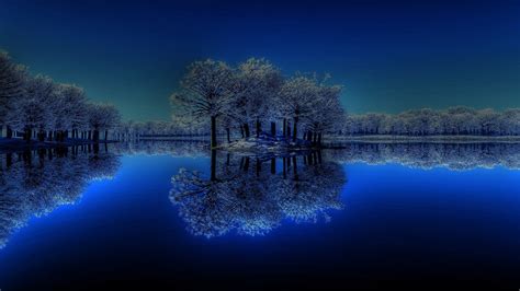 Winter Trees Reflection On Body Of Water Under Starry Sky During Nighttime 4k Hd Nature