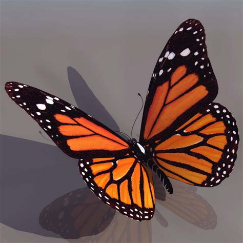 Monarch Butterfly 3d Model 3ds Files Free Download Modeling 14145 On