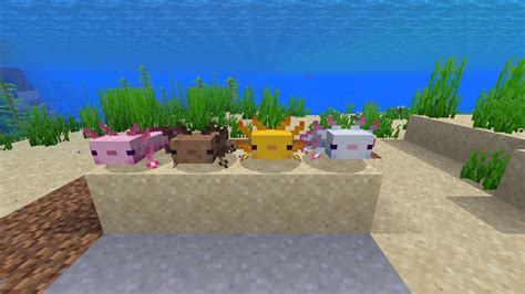 Gold Axolotl Minecraft