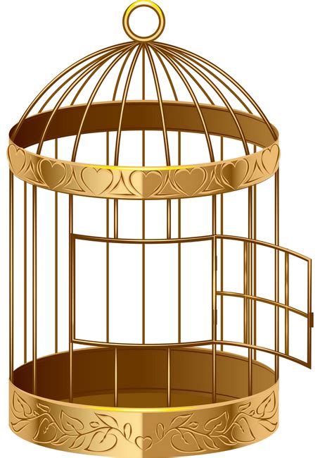 Cagestubesoiseaux