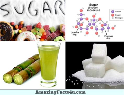 30 Amazing Facts About Sugar Amazing Facts 4u Com