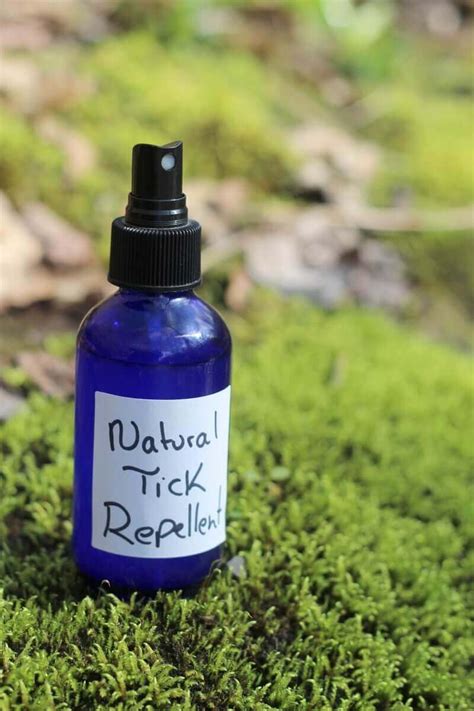 How To Make Natural Tick Repellent Essential Oil Spray Diy Essential