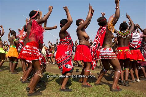 photos and pictures of zulu reed dance at enyokeni palace nongoma south africa the africa