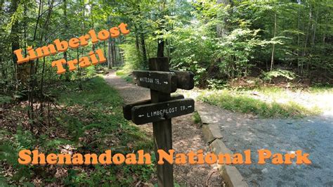 Limberlost Trail Hike Shenandoah National Park Youtube