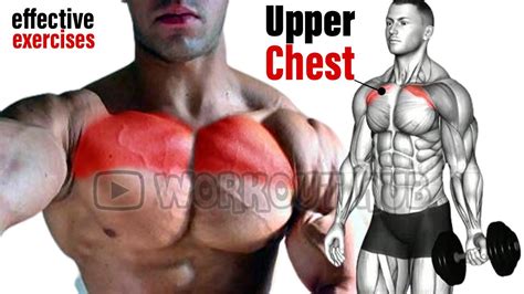 Chest Workout 5 Best Upper Chest Exercises For Bigger Upper Chest