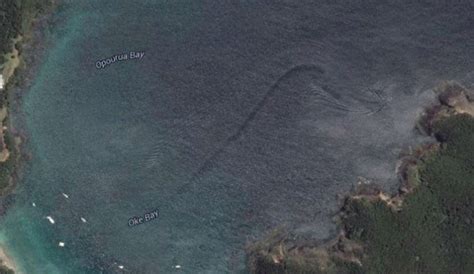 As the technology became better and easier to access, regular people started to find more and more unbelievable things. Has Google Earth Captured A New Zealand Sea Monster ...