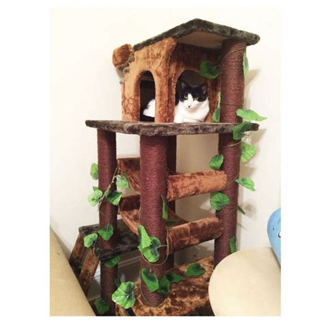 Best Cat Tower For Large Cats With Two Big Condos