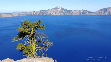 Best Things To Do In Crater Lake National Park An Oregon Adventure
