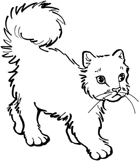 Desenhos De Gatos Para Imprimir E Colorir Desenhos E Riscos