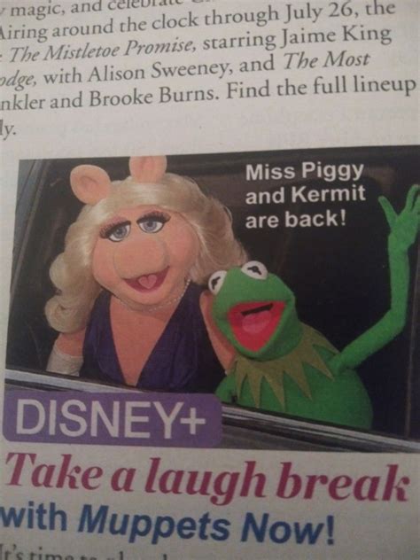 Pin By Carolyn Spoto On Muppet Muppets Alison Sweeney Miss Piggy