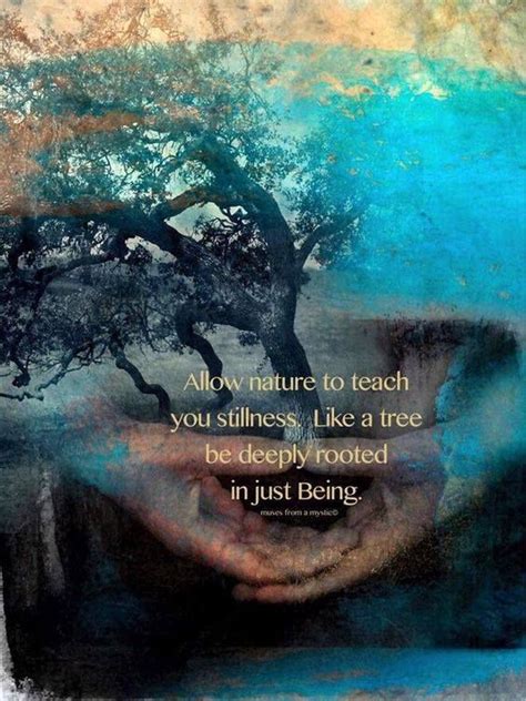 Allow Nature To Teach You Stillness Like A Tree Be Deeply Rooted In