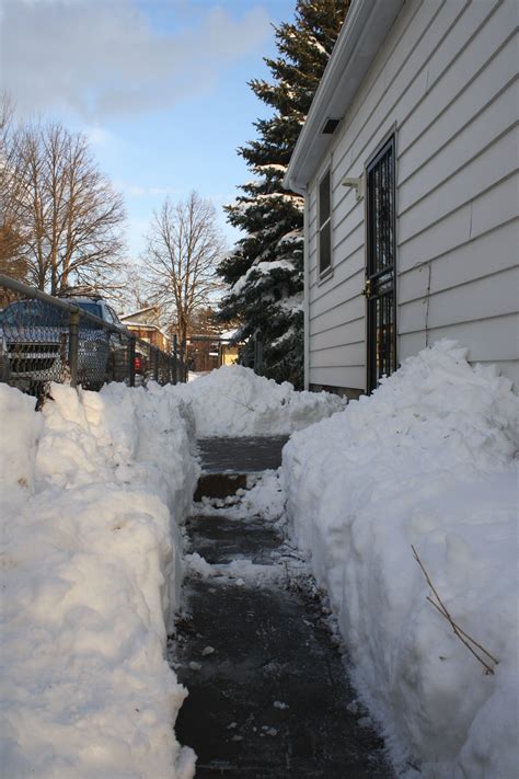 Sidewalk Shoveled Through Deep Snow Picture Free