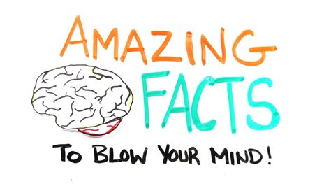 Amazing Mind Blowing Facts 3
