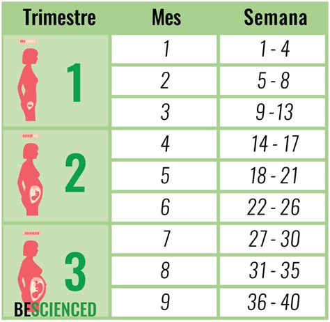 The weeks into months pregnancy calculator converts the amount of time you've been pregnant from weeks into the equivalent number of months. ¿Cómo calcular de cuantos meses, semanas y trimestres de ...