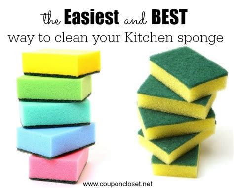 How To Clean Kitchen Sponge In One Easy Step One Crazy Mom