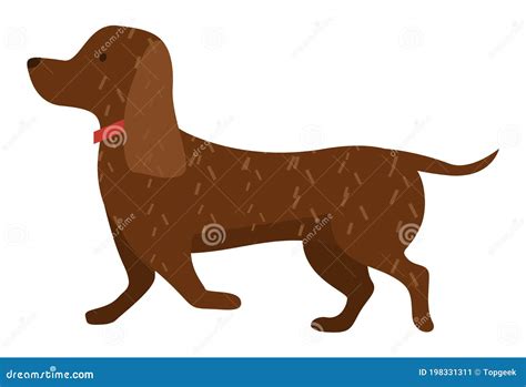 Cartoon Dog Vector Illustration Of Cute Purebred Dachshund Isolated On