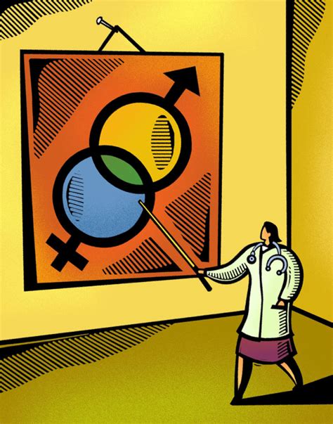 top to bottom sex bias in labs skews results discover magazine